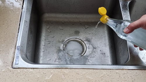 玫瑰花下水管道怎么疏通(玫瑰花下水管道怎么疏通的)
