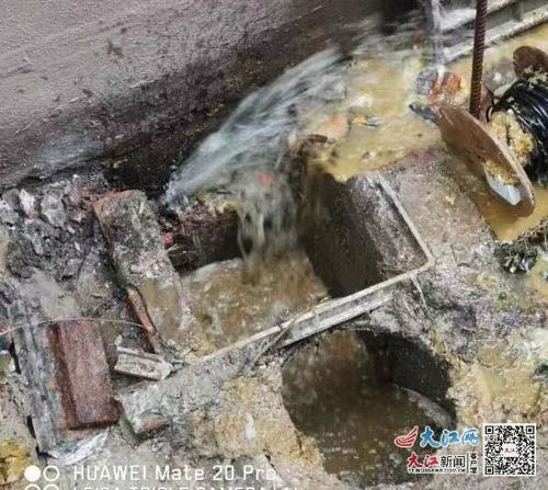 木头堵死下水管道怎么疏通(木头塞子堵水管能坚持几年) 木头堵死下水管道怎么疏通(木头塞子堵水管能坚持几年)