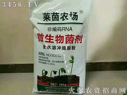 活性炭管道疏通剂怎么用(活性炭管道疏通剂怎么用的) 活性炭管道疏通剂怎么用(活性炭管道疏通剂怎么用的)
