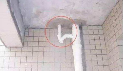卫生间返水怎么疏通管道(卫生间返水怎么疏通管道图解)