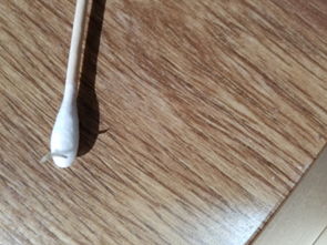 下水管道塑料管怎么疏通(下水道 塑料管)