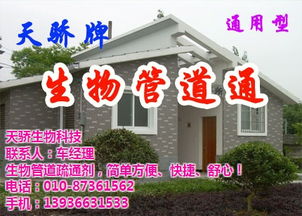 庭院管道疏通方案设计怎么写(庭院通道怎么设计比较好)