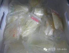 怎么样能疏通乳腺管道(怎样才能疏通乳腺管) 怎么样能疏通乳腺管道(怎样才能疏通乳腺管)