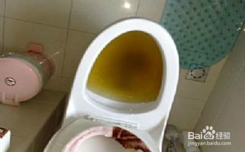 厕纸堵马桶怎么疏通管道(厕纸堵了马桶如何自己快速疏通)