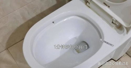 封闭马桶堵盖怎么疏通管道(封闭马桶用什么胶)