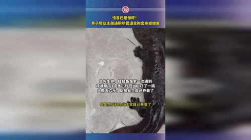 树洞管道疏通剂怎么用的(树洞管道疏通剂怎么用的啊) 树洞管道疏通剂怎么用的(树洞管道疏通剂怎么用的啊)