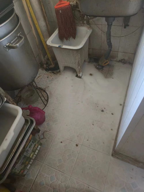 楼栋管道堵塞怎么疏通的(楼栋管道堵塞怎么疏通的呢) 楼栋管道堵塞怎么疏通的(楼栋管道堵塞怎么疏通的呢)