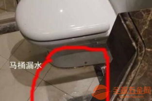 弯型马桶怎么疏通管道图解(马桶弯道图片)