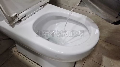 旅店马桶堵了怎么疏通管道(旅店马桶堵了怎么办)