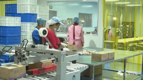 丛台区管道疏通服务怎么样(丛台区自来水公司电话是多少)