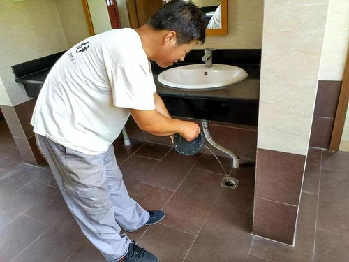 家里水管道堵塞怎么疏通(家里水管堵塞如何疏通)