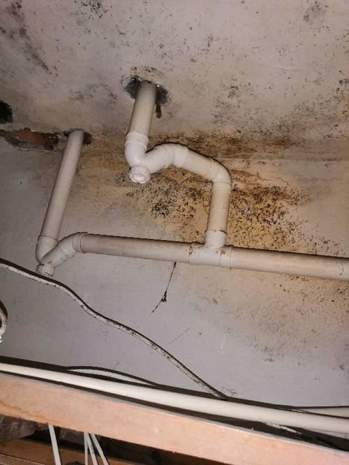 怎么有效疏通地漏水管道(怎么有效疏通地漏水管道呢) 怎么有效疏通地漏水管道(怎么有效疏通地漏水管道呢)