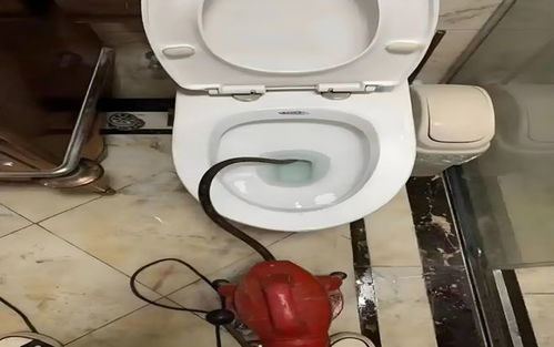 杨浦区管道疏通怎么收费(杨浦区疏通马桶)