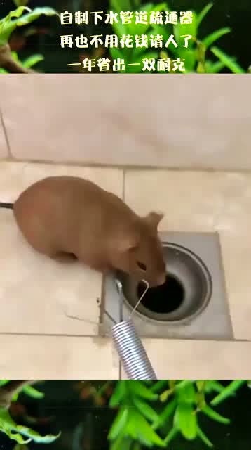 怎么自己做管道疏通器呢(怎么自制管道疏通器) 怎么自己做管道疏通器呢(怎么自制管道疏通器)