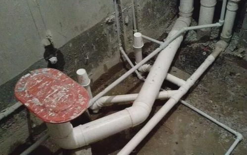 采样管堵住了怎么疏通管道(采样的管子叫什么) 采样管堵住了怎么疏通管道(采样的管子叫什么)