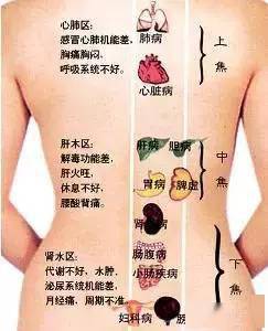 怎么疏通羊奶管道图解法(羊奶管阻塞怎么输通?