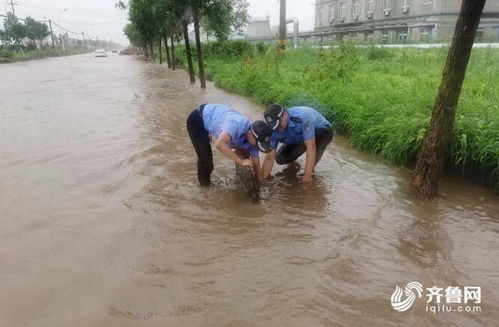 积水路段怎么疏通管道图片(积水路段怎么处理)