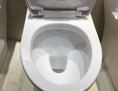 工业马桶堵了怎么疏通管道(工业马桶跟普通马桶有什么不一样)