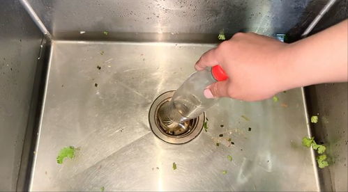 下水管道塞堵怎么疏通(下水管道塞堵怎么疏通的)