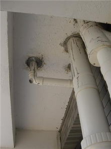 浴屏地漏怎么疏通管道的(浴池地漏安装视频)