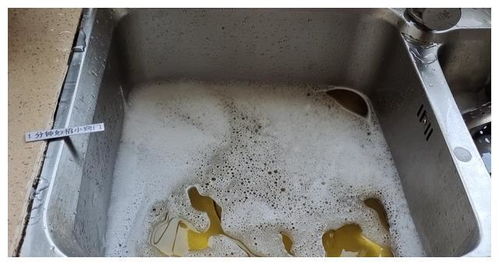 怎么疏通管道内的苔藓呢(管道苔藓怎么去除) 怎么疏通管道内的苔藓呢(管道苔藓怎么去除)