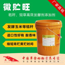 疏通管道锈锈怎么处理好(管道疏通剂可以除铁锈吗)