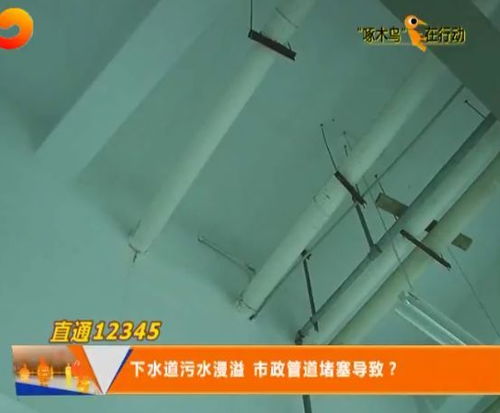 臭气管道堵了怎么疏通(把臭气管堵上会咋样)
