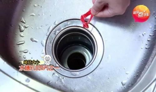 主水管堵塞了怎么疏通管道(主水管堵塞了怎么疏通管道呢)