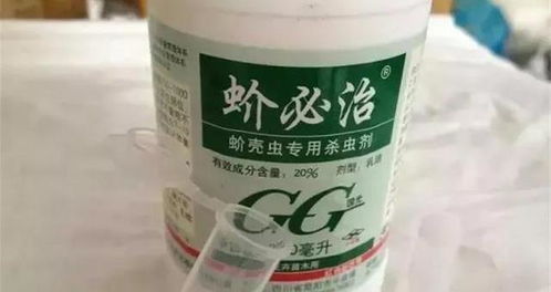 管道疏通剂治虫子怎么用(管道疏通剂杀虫吗) 管道疏通剂治虫子怎么用(管道疏通剂杀虫吗)