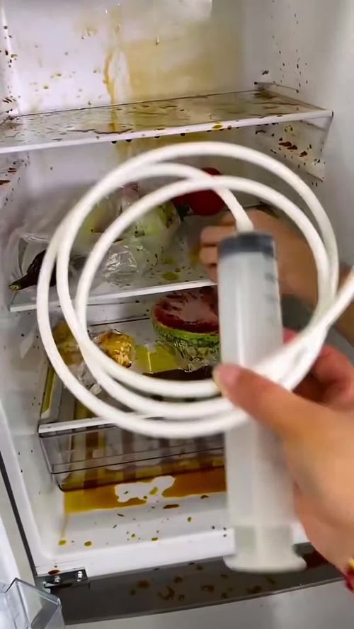 冰箱管道疏通器怎么用(冰箱管道疏通器有用吗) 冰箱管道疏通器怎么用(冰箱管道疏通器有用吗)