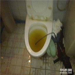 怎么疏通马桶下水管道6(马桶如何通下水管道)