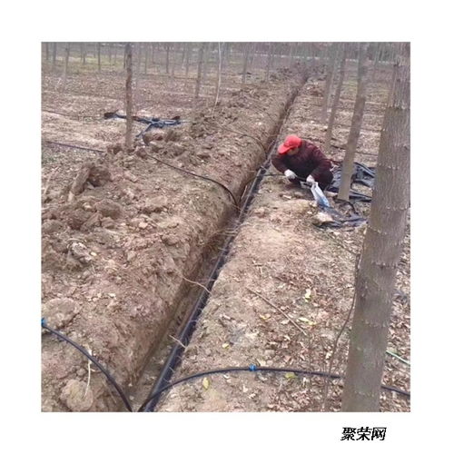 地下滴灌主管道怎么疏通(地下滴灌主管道怎么疏通的) 地下滴灌主管道怎么疏通(地下滴灌主管道怎么疏通的)
