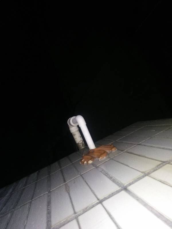 管道堵塞有异味怎么疏通(管道堵住怎么办) 管道堵塞有异味怎么疏通(管道堵住怎么办)