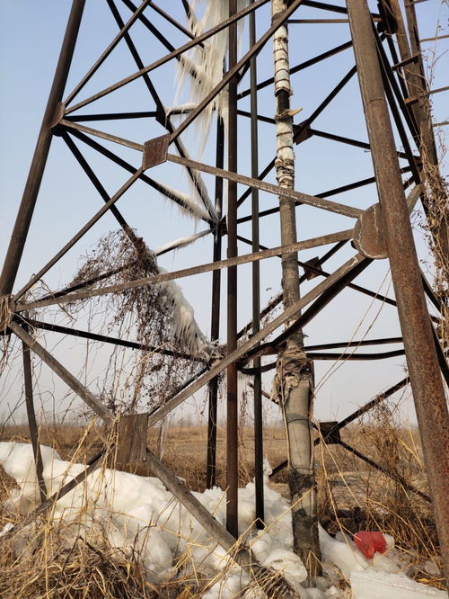 管道冬天冻住了怎么疏通(冬天管道冻住了怎么办)