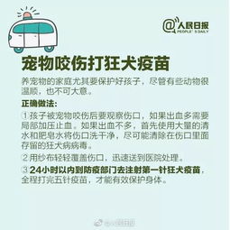 疏通管道好评模板怎么写(疏通管道好评模板怎么写范文) 疏通管道好评模板怎么写(疏通管道好评模板怎么写范文)