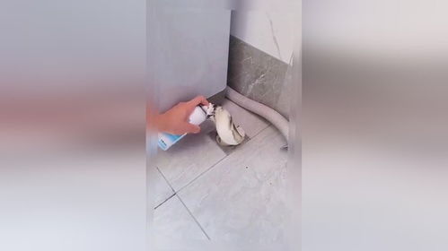 管道泡泡疏通剂怎么用(管道疏通剂泡沫满出)