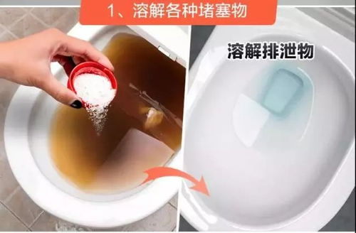 粉末堵地漏怎么疏通管道(粉末堵地漏怎么疏通管道的)