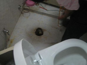 洗脸池臭怎么疏通管道(洗脸池臭味怎么消除)