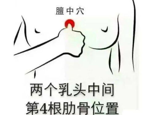 胃管堵塞怎么疏通管道(胃管堵塞的疏通方法) 胃管堵塞怎么疏通管道(胃管堵塞的疏通方法)