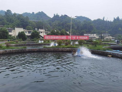 同城疏通管道怎么样(五八同城管道疏通) 同城疏通管道怎么样(五八同城管道疏通)