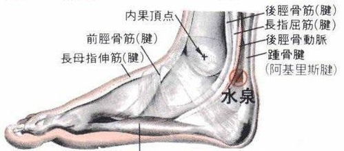 骨头堵住管道怎么疏通图解(骨头堵塞)
