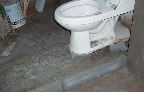 马桶返脏水怎么疏通管道(马桶反脏水怎么办)