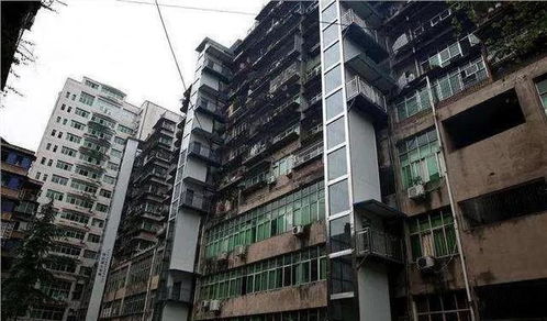 楼房疏通主管道怎么收费(小区楼房主管道疏通该归谁) 楼房疏通主管道怎么收费(小区楼房主管道疏通该归谁)