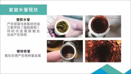 管道疏通细菌虫卵怎么处理(管道细菌如何消杀)