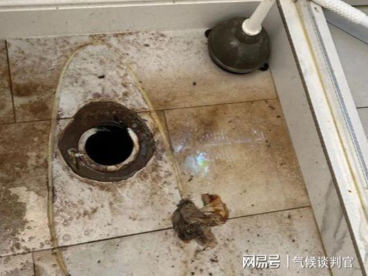 堵塞水箱的管道怎么疏通(水箱水道堵了) 堵塞水箱的管道怎么疏通(水箱水道堵了)