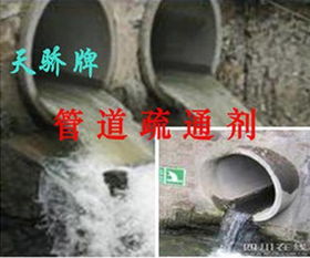 疏通管道的粪便怎么处理(管道疏通剂可以通粪便吗)