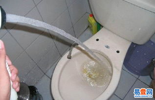菜花堵了管道怎么疏通(菜花堵了管道怎么疏通的)