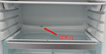 小冰柜怎么疏通管道的(冰柜的疏通口在哪) 小冰柜怎么疏通管道的(冰柜的疏通口在哪)