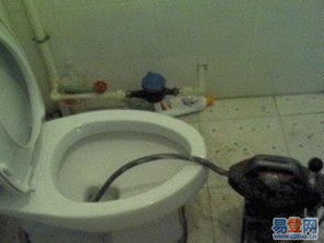 绿豆堵住马桶怎么疏通管道(绿豆堵住马桶怎么疏通管道的)