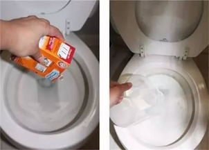 管道疏通凝胶盖子怎么安装(管道疏通凝胶盖子怎么安装的) 管道疏通凝胶盖子怎么安装(管道疏通凝胶盖子怎么安装的)